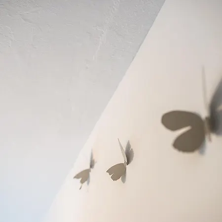 Mariposa Apartment San Miguel de Abona