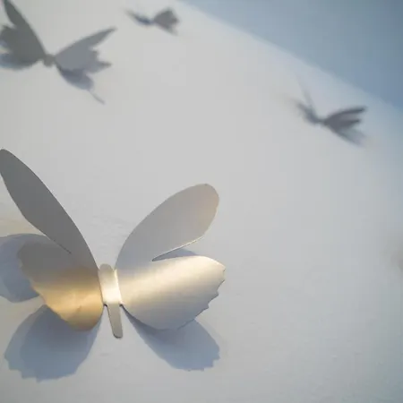 Mariposa